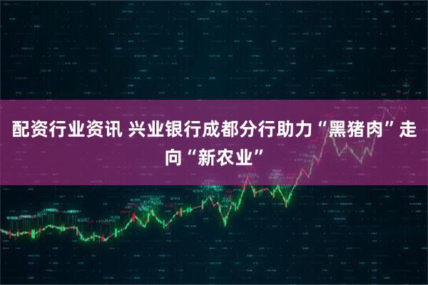 配资行业资讯 兴业银行成都分行助力“黑猪肉”走向“新农业”