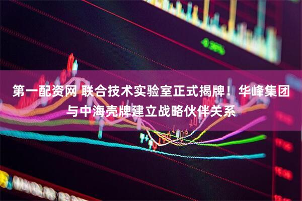 第一配资网 联合技术实验室正式揭牌！华峰集团与中海壳牌建立战略伙伴关系