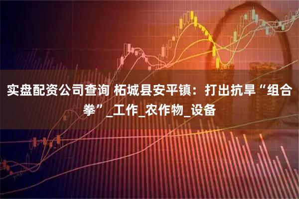 实盘配资公司查询 柘城县安平镇：打出抗旱“组合拳”_工作_农作物_设备